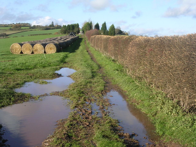 Worcestershire Way - geograph.org.uk - 284897