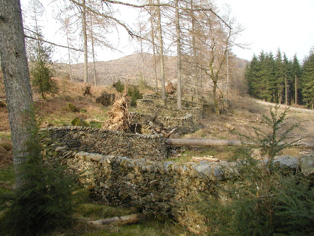 File:"Taking a Wall for a Walk" - Grizedale Forest - geograph.org.uk - 36895.jpg