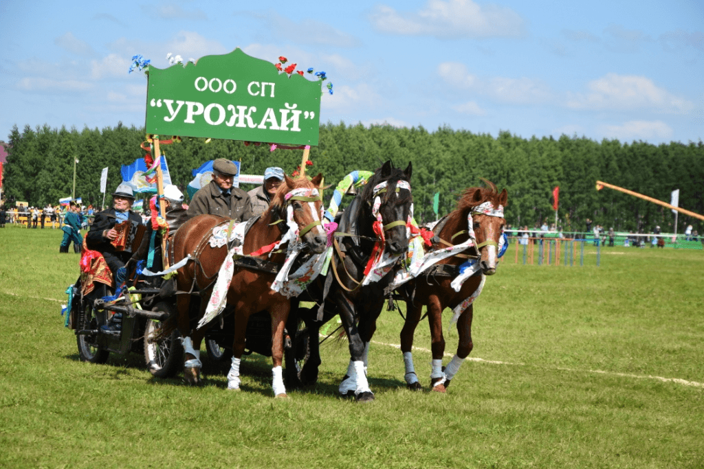 Башкортостана 17. Сабантуй в Бураевском районе. Бураевский район Сабантуй лошадь. Сабантуй в Тангатарово Бураевский район. Бураевский район д. Бадракова когда Сабантуй.