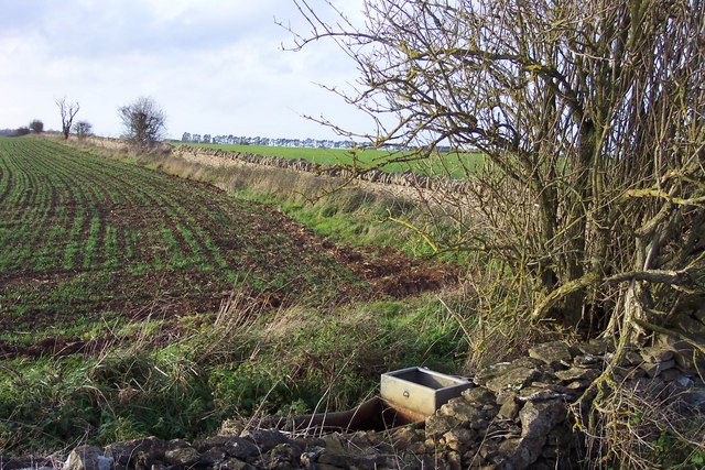 File:A Cotswolds field edge - geograph.org.uk - 286451.jpg