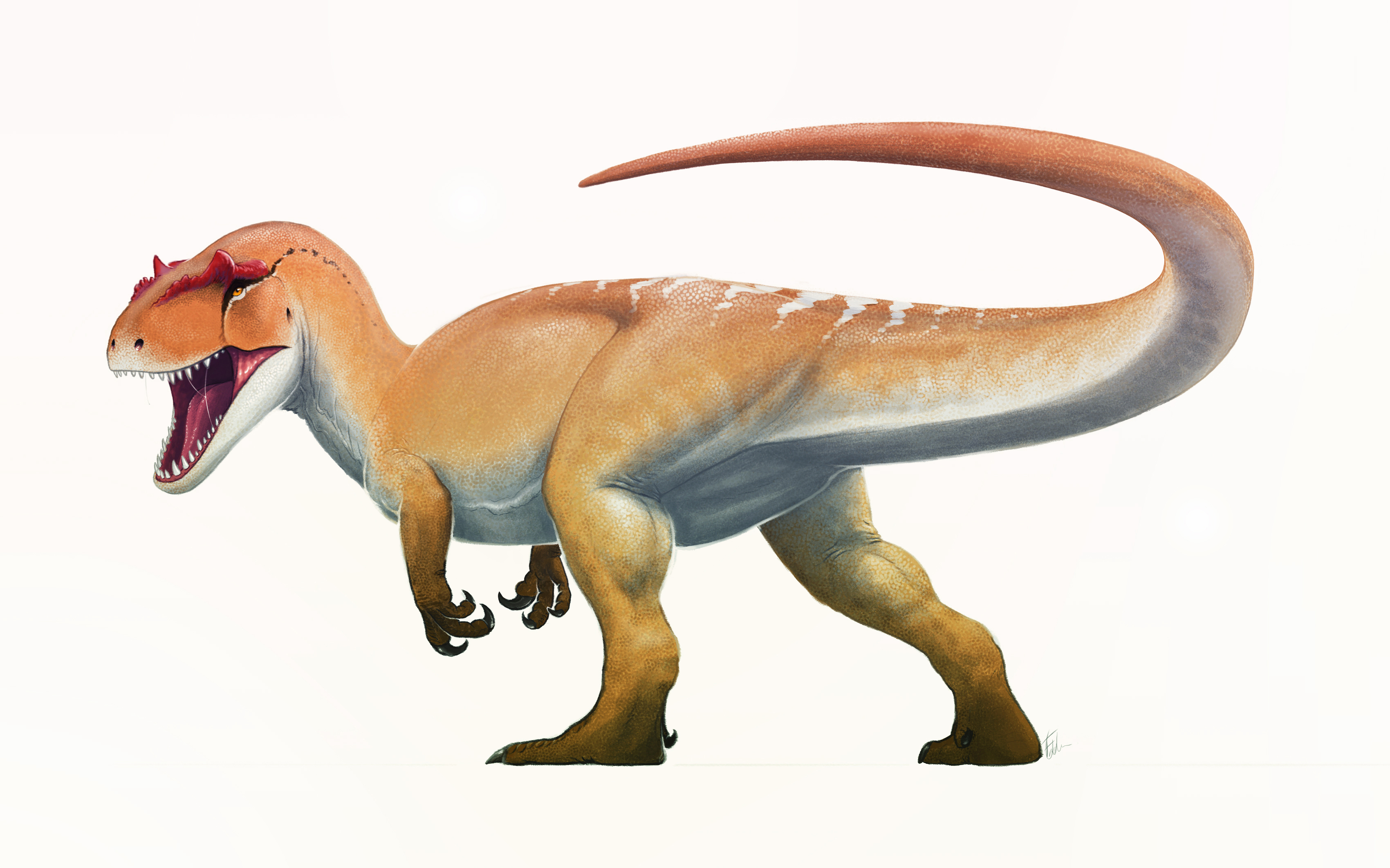 Allosaurus Life Restoration.jpg