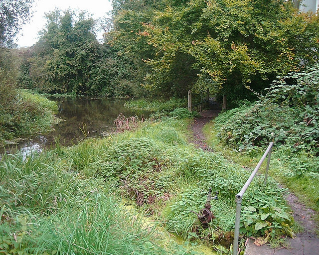 File:Amport - Footpath Alongside the Pool - geograph.org.uk - 572406.jpg