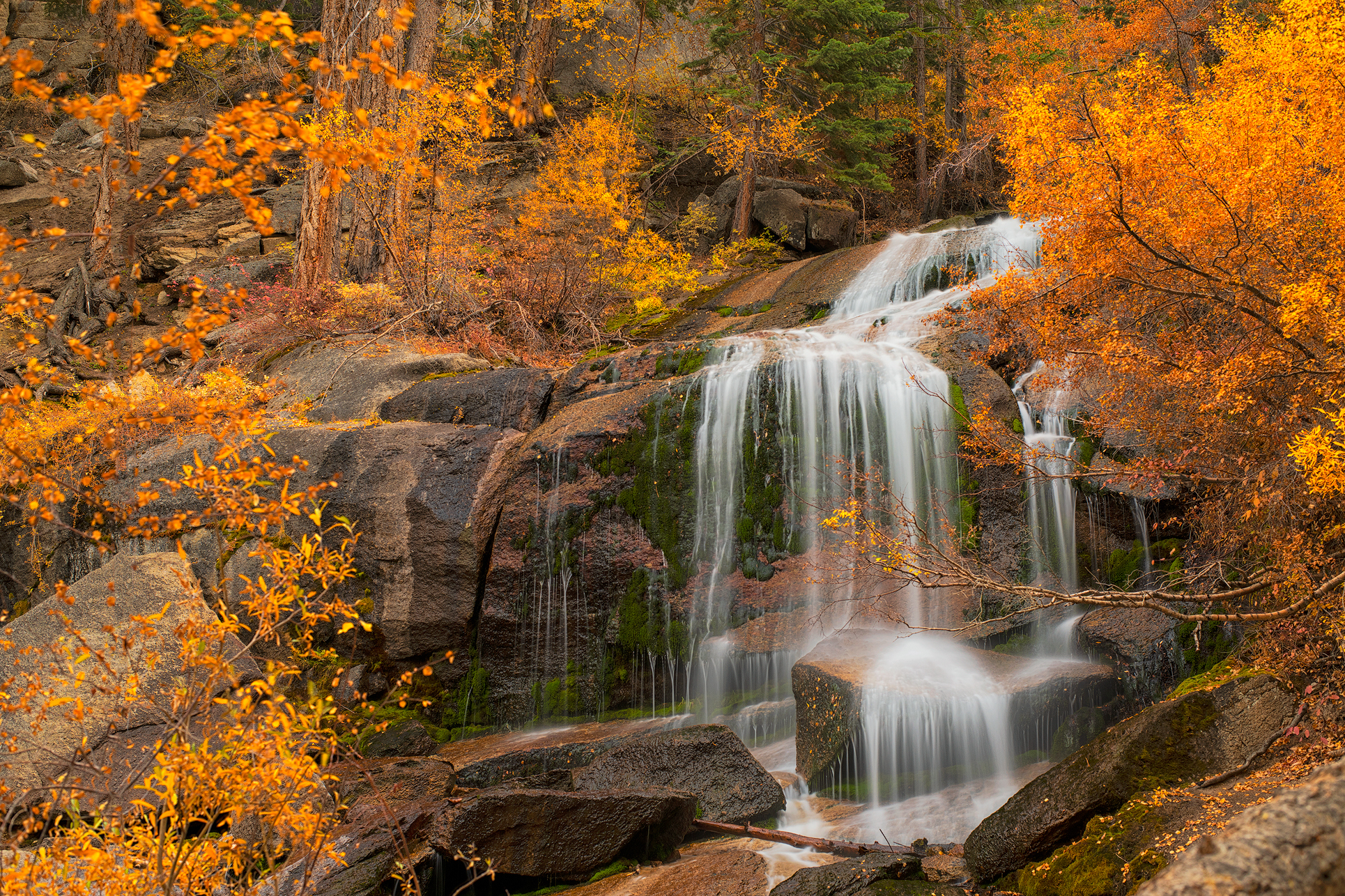 Eastern Spring Creeks in Autumn