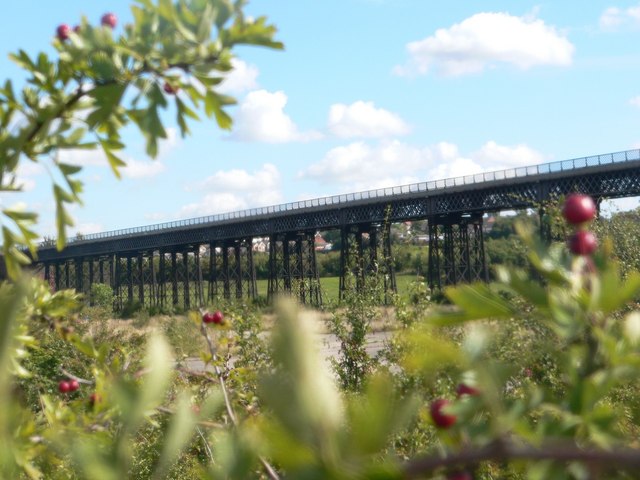 Bennerley Viaduct Bridge - geograph.org.uk - 702160