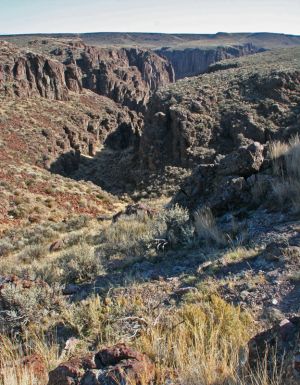 File:Big Jacks Creek Canyon.jpg