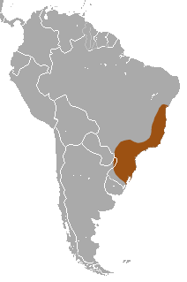 File:Brown Howler area.png