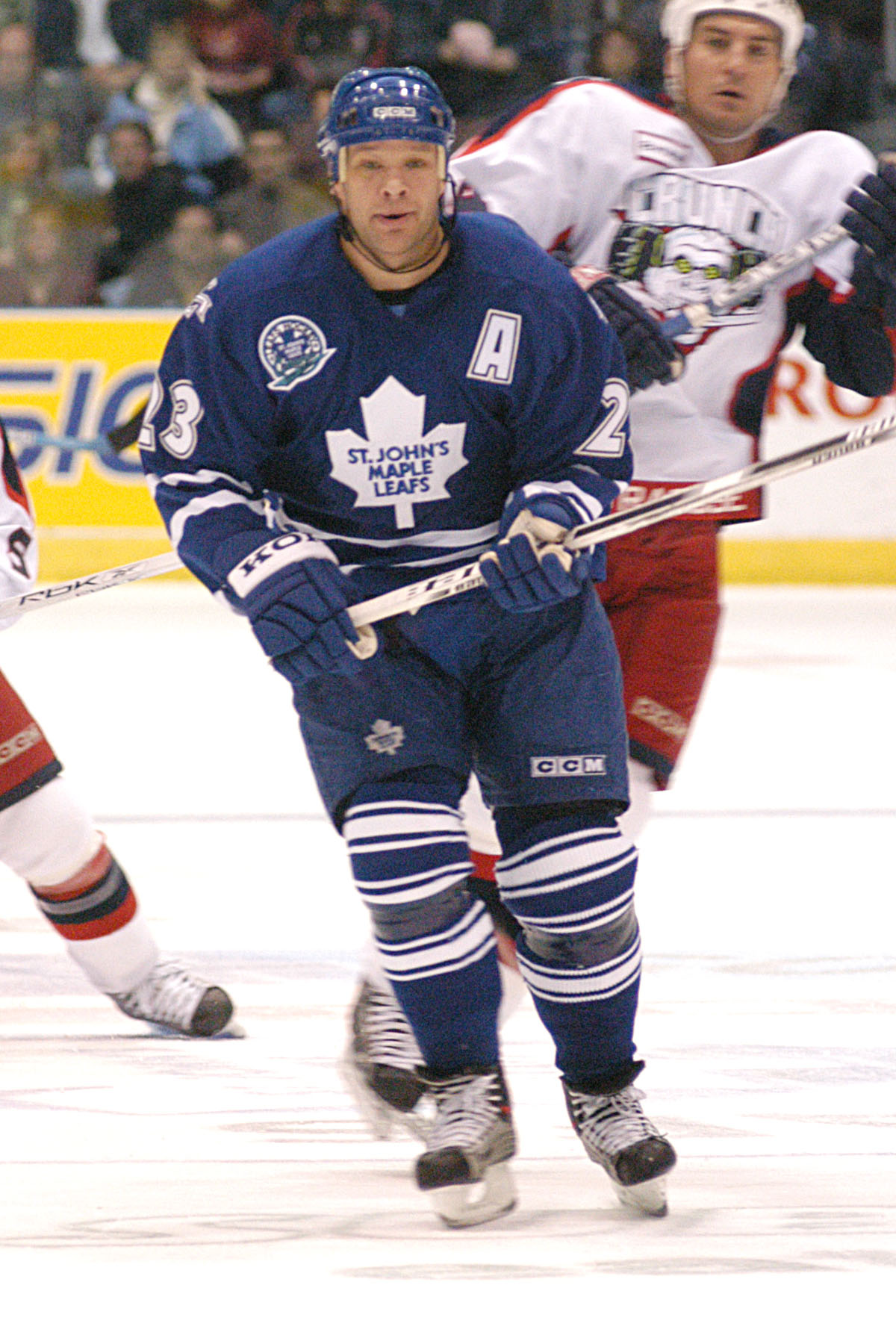 St. John's Maple Leafs - Wikipedia