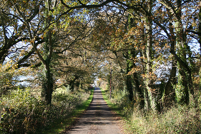 File:Corfe, lane near Lawns Farm - geograph.org.uk - 280559.jpg