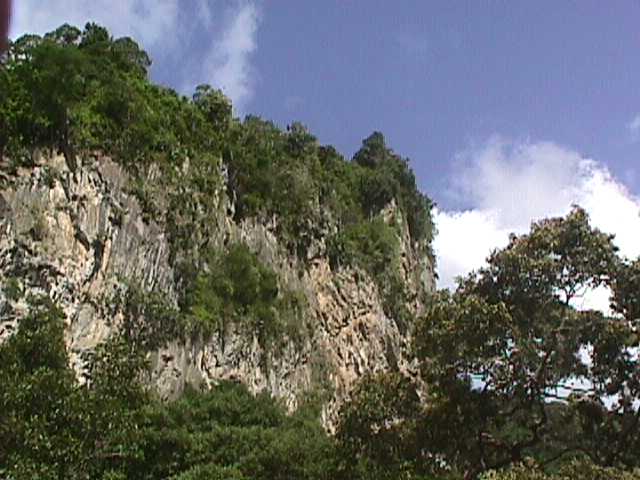 File:Cueva del Guacharo 14.JPG