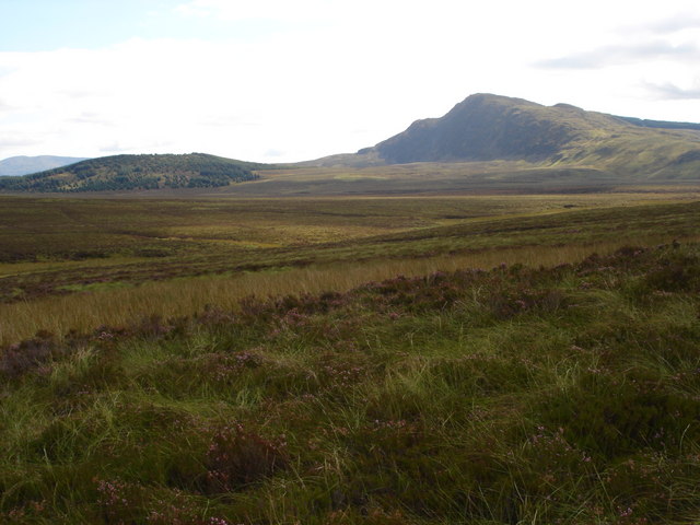 File:Dduallt - geograph.org.uk - 553375.jpg