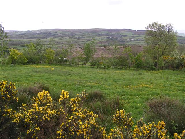 File:Dungorkin Townland - geograph.org.uk - 435028.jpg