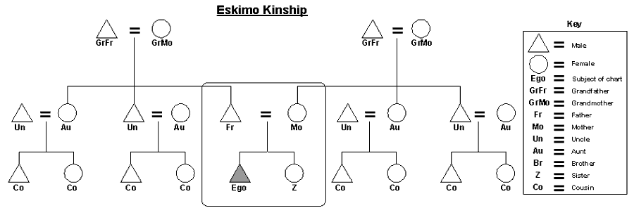 Ego Kinship Chart