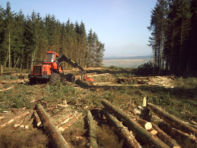 File:Forestry operations at Fourlaws - geograph.org.uk - 625154.jpg