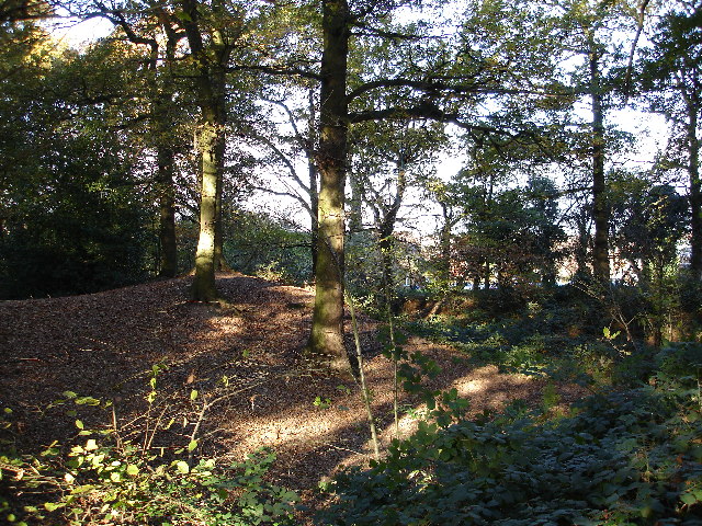File:Hobs Moat Ancient Monument - geograph.org.uk - 85091.jpg