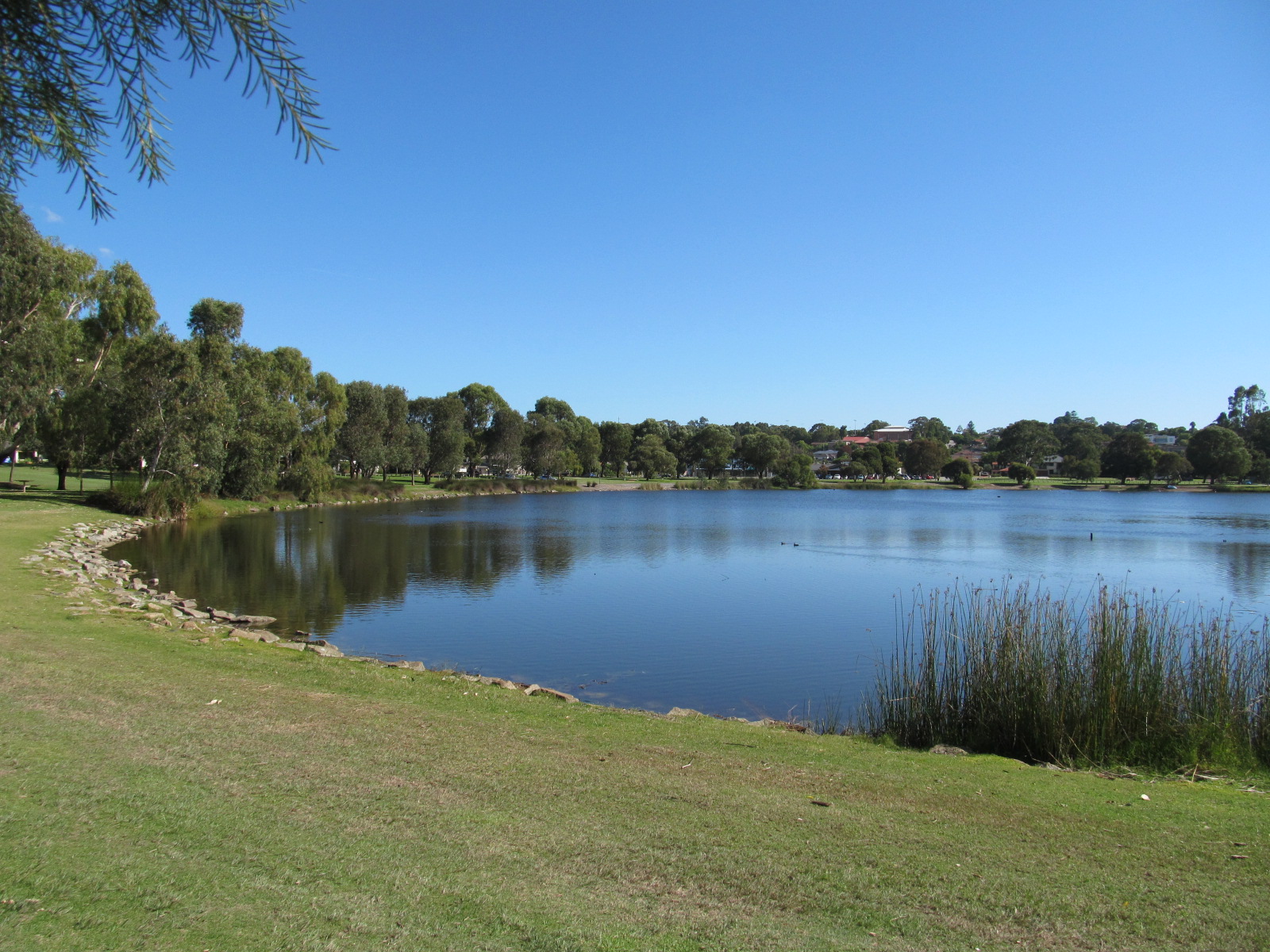 Lake s. Река Мохок. Форт-Нью-Амстердам. Крик Амстердам. Playground co Lakewood.