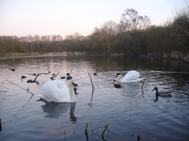 File:Joe's Pond - geograph.org.uk - 587832.jpg