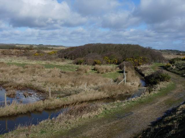 Lymington and Keyhaven Marshes