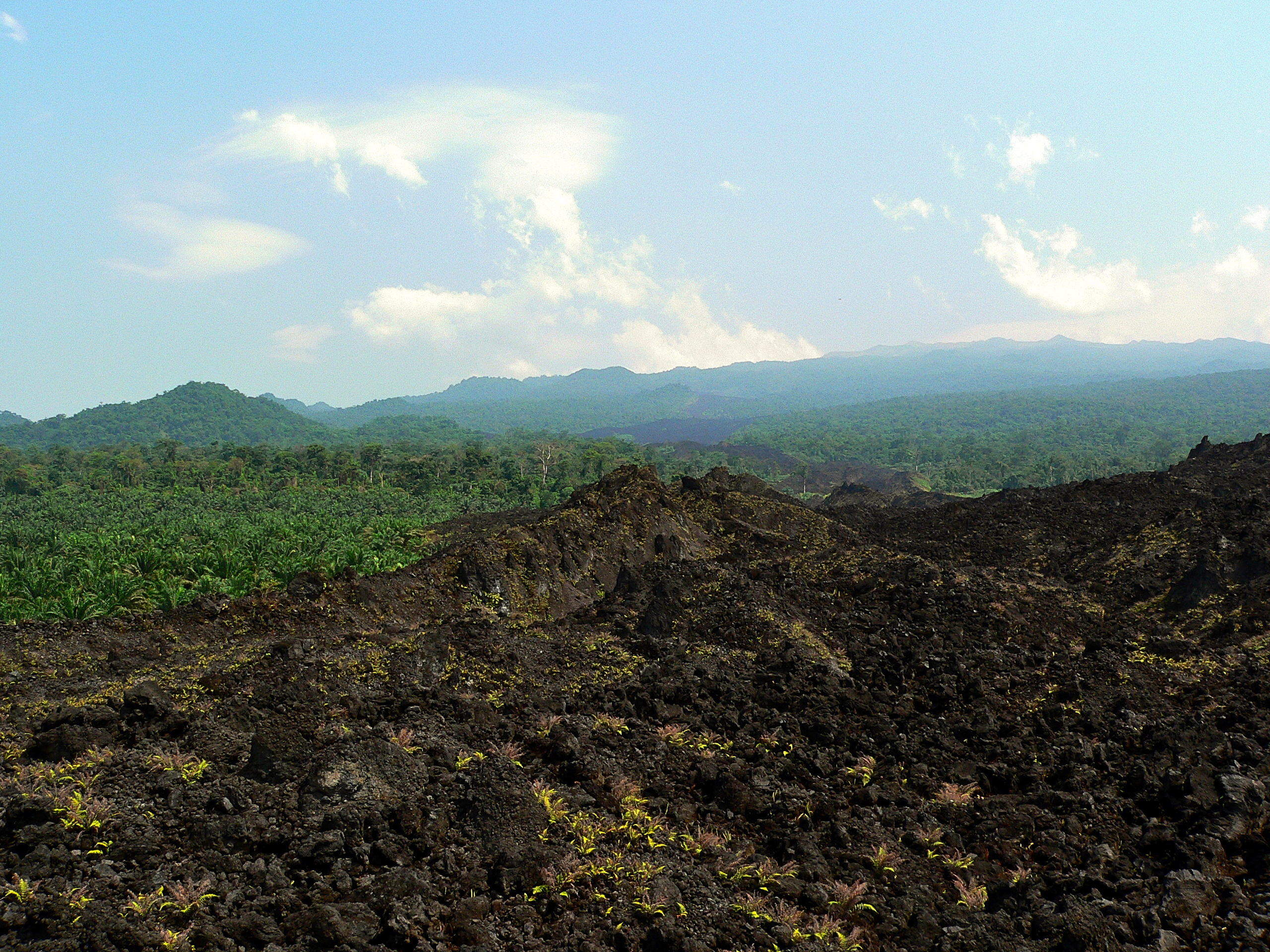 Lava Flow from Mt Cameroon 1999 eruption (21562945615).jpg