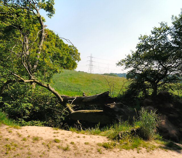 File:Lower Bredbury - geograph.org.uk - 1318165.jpg