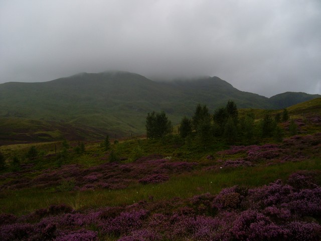 File:Meall nan Tarmachan from the Ben Lawers Nature Trail - geograph.org.uk - 936146.jpg