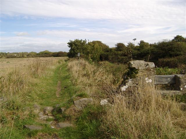 File:Millennium way - geograph.org.uk - 57467.jpg