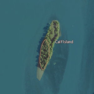 <span class="mw-page-title-main">Calf Island (Michigan)</span>