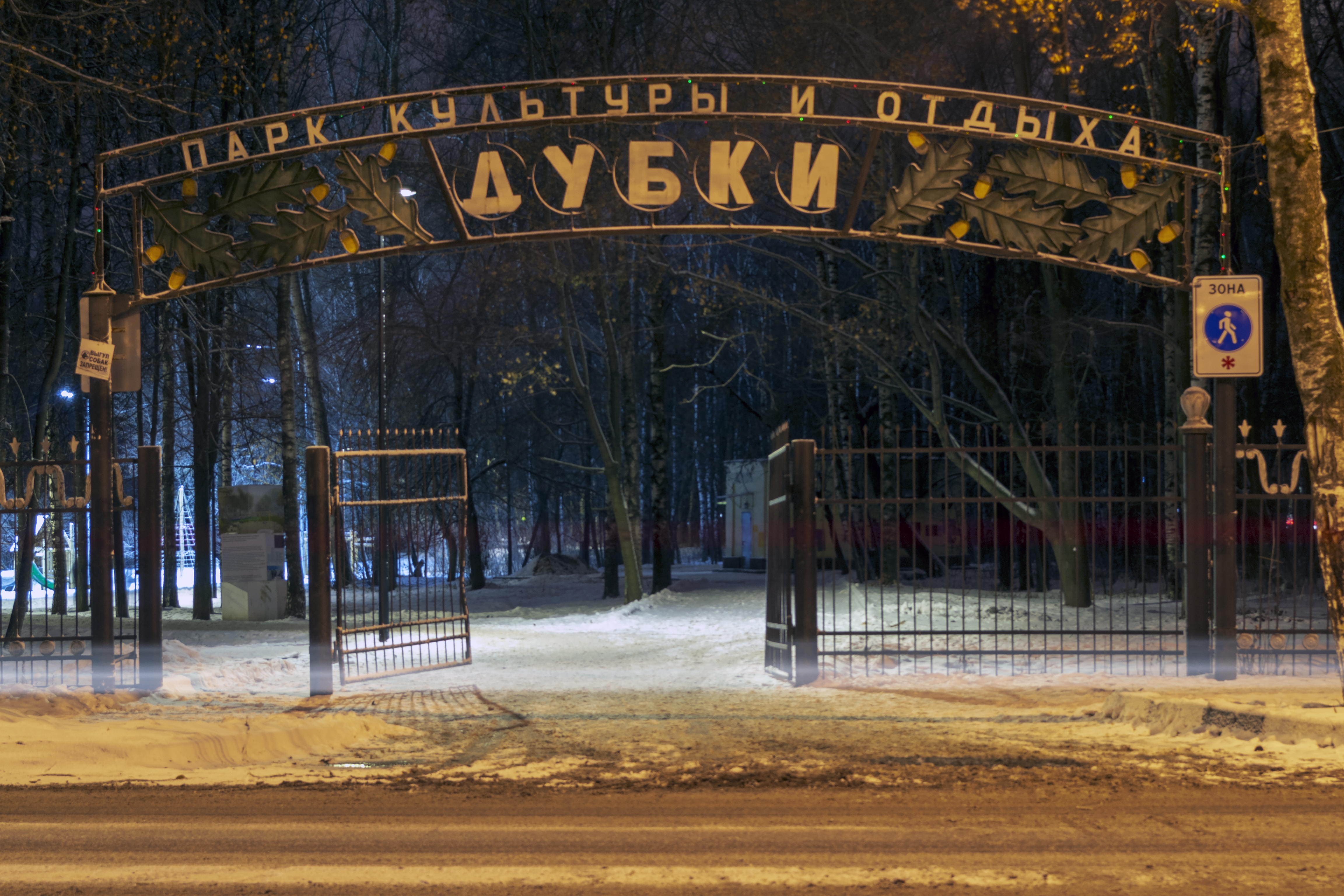 Нижегородский парк культуры и отдыха. Парк Дубки Нижний Новгород. Парк Дубки Нижний Новгород сцена. Парк Дубки в Нижнем Новгороде проекты.