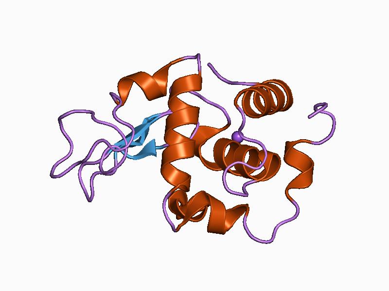 File:PDB 1c43 EBI.jpg