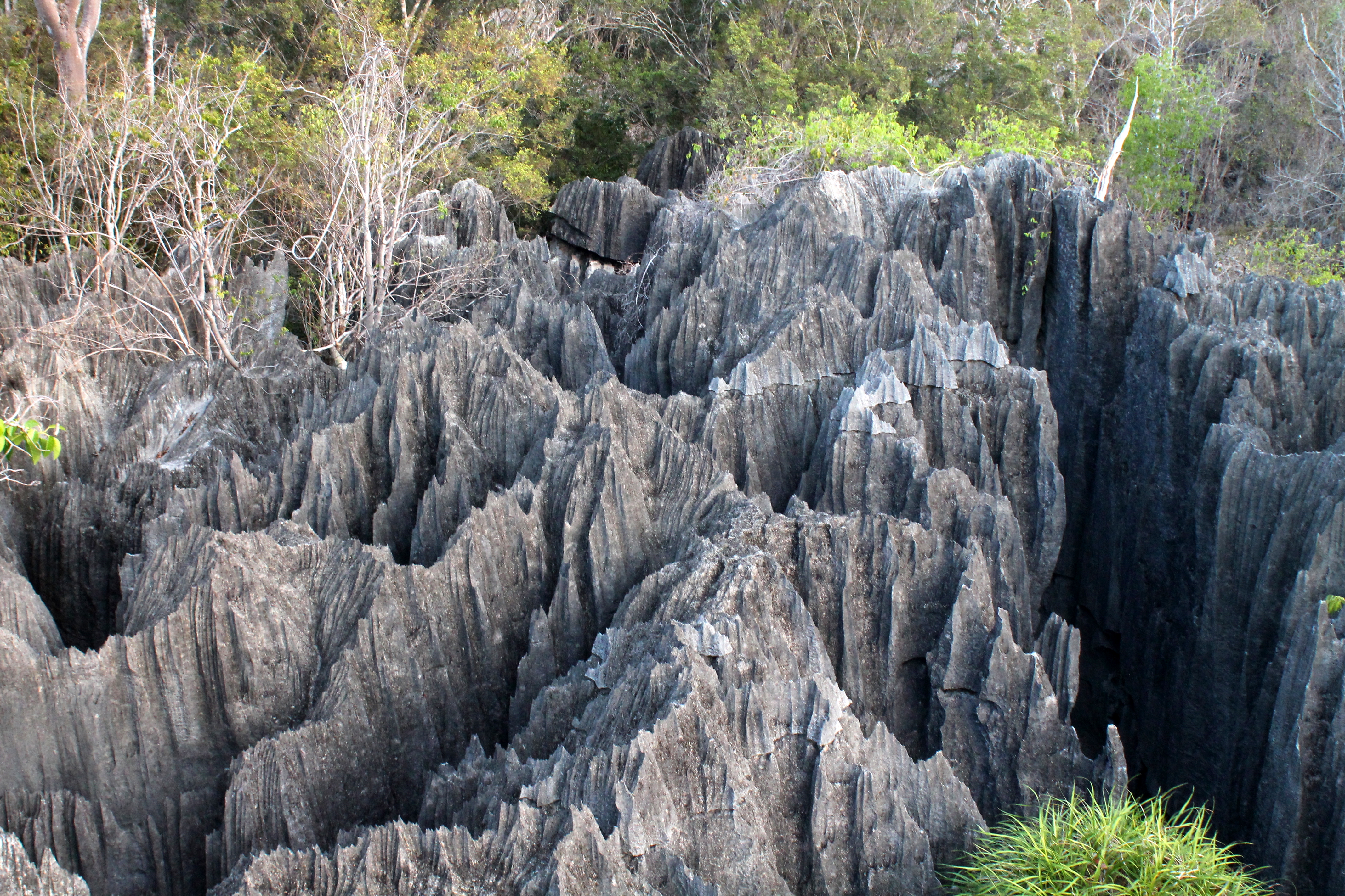 guia de viaje a madagascar