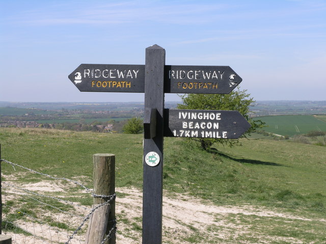 Pointing the Way - geograph.org.uk - 658085