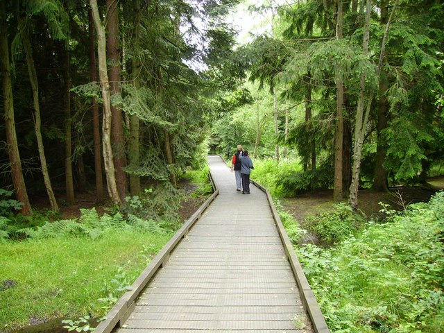 Raised footpath - geograph.org.uk - 495897