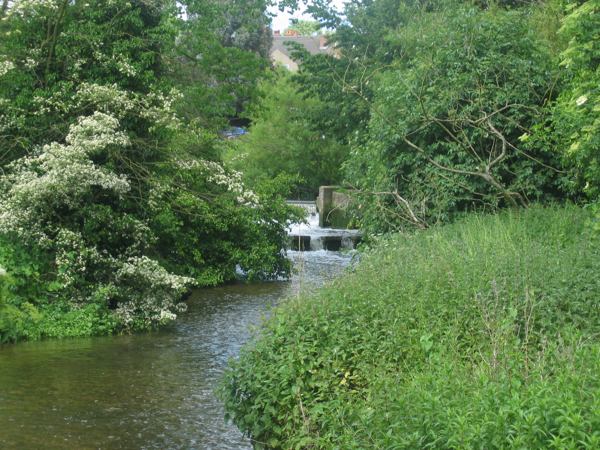 River lea