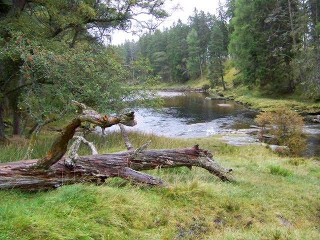 River Dee at the Linn of Dee - geograph.org.uk - 1538156