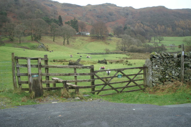 Start of footpath around Loughrigg Tarn - geograph.org.uk - 1598015