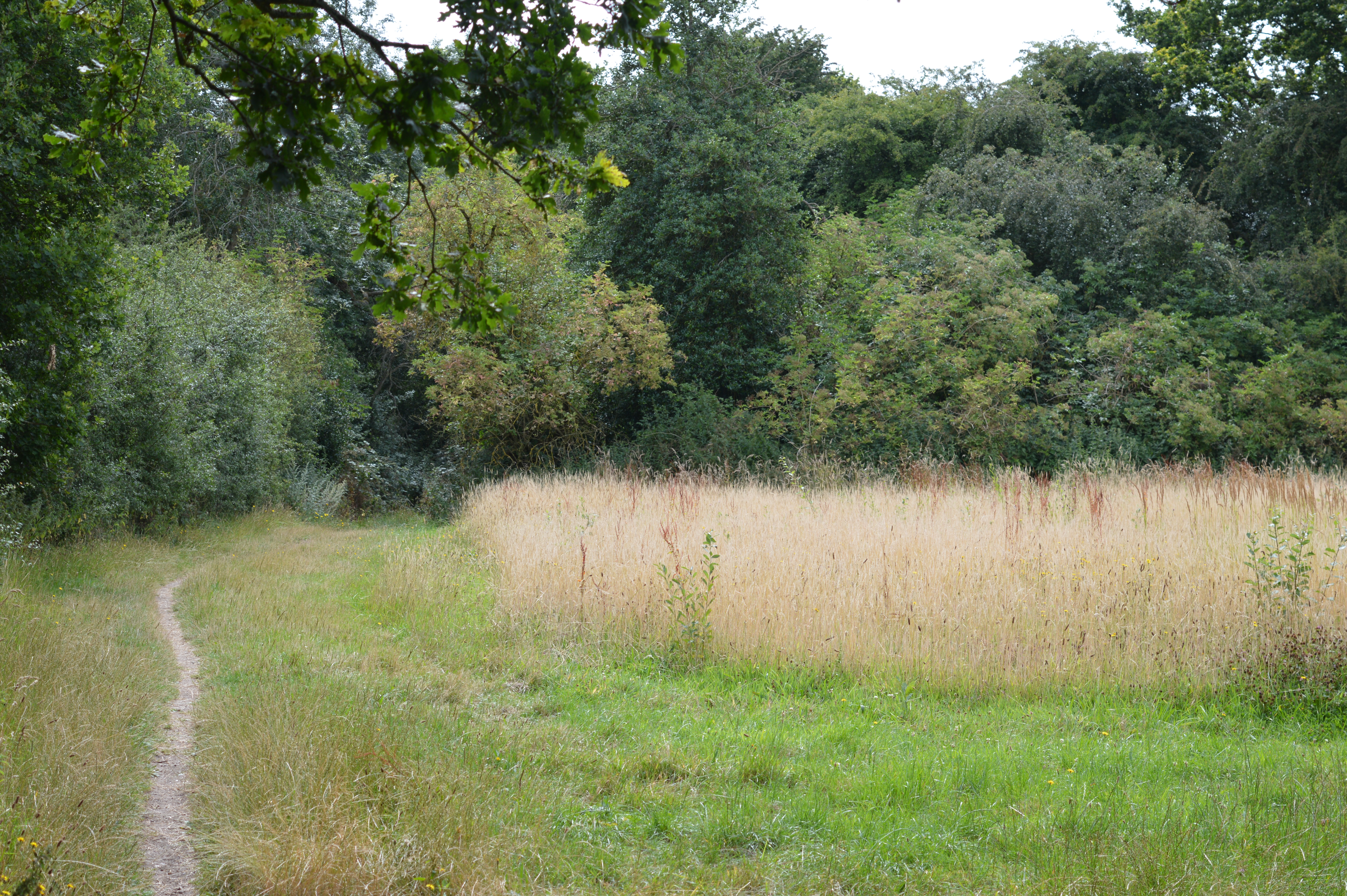 Telegraph Hill, Hertfordshire