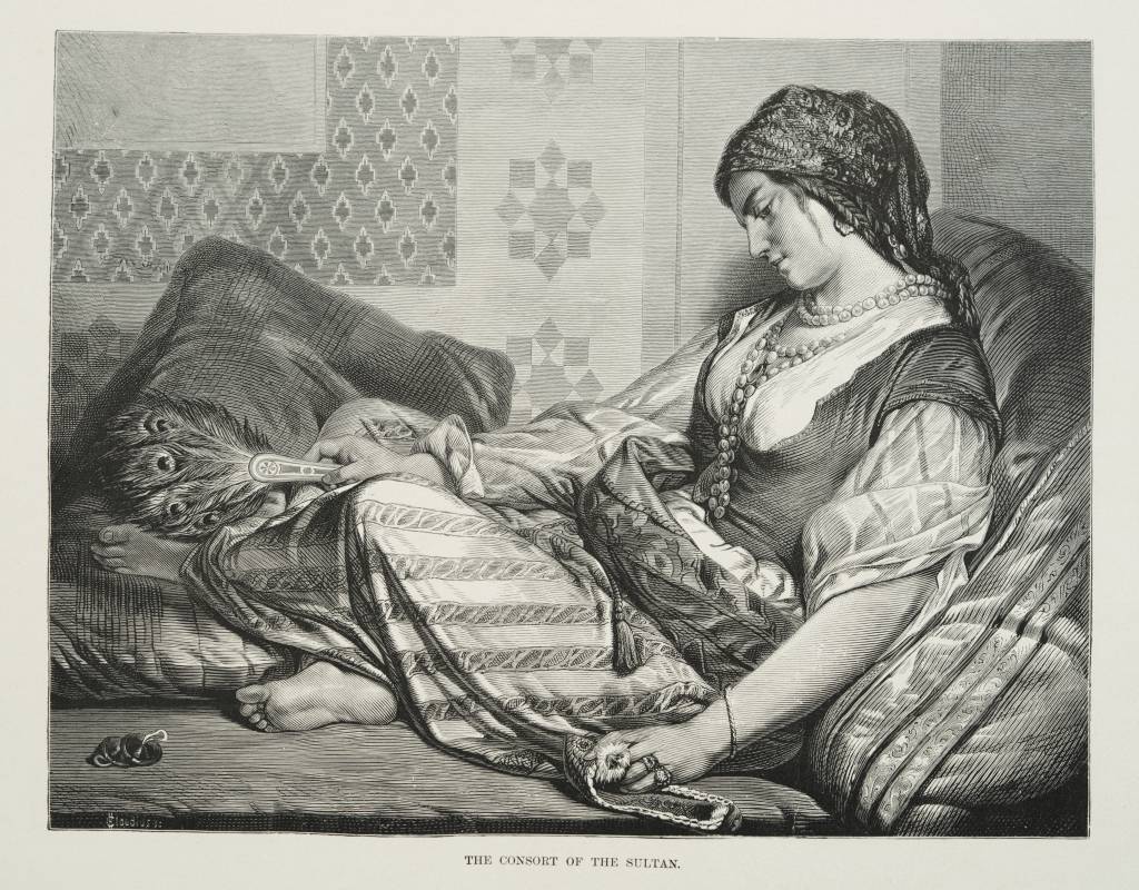 Супруга султана (1878) - TIMEA.jpg