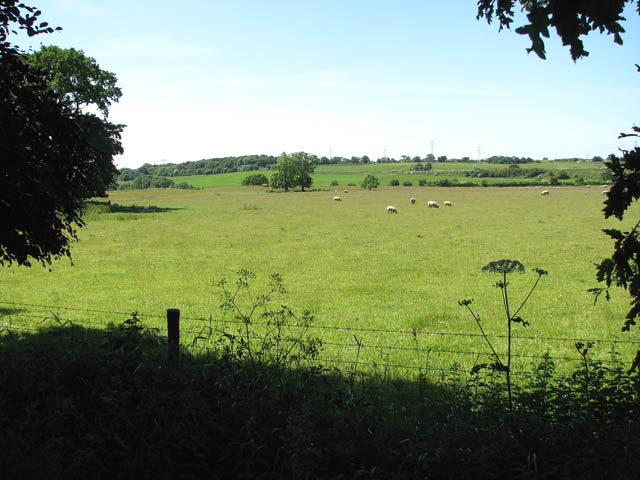 File:Venta Icenorum - Market Place of the Iceni - geograph.org.uk - 1352695.jpg