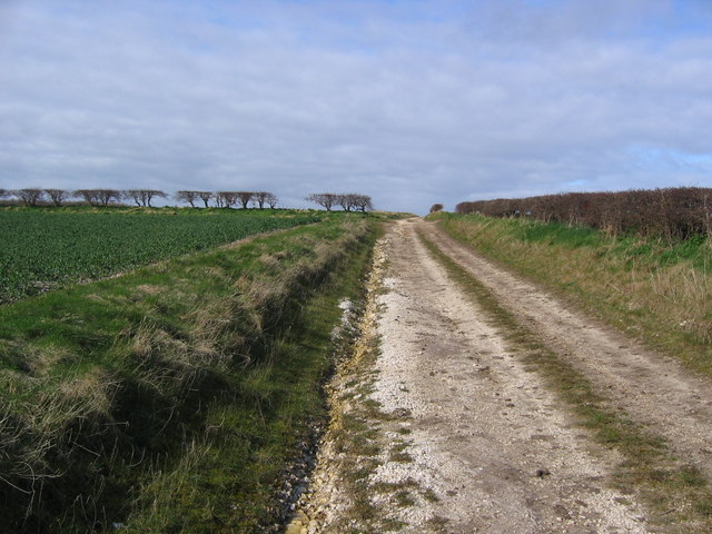 File:View Along The Bridleway - geograph.org.uk - 373250.jpg