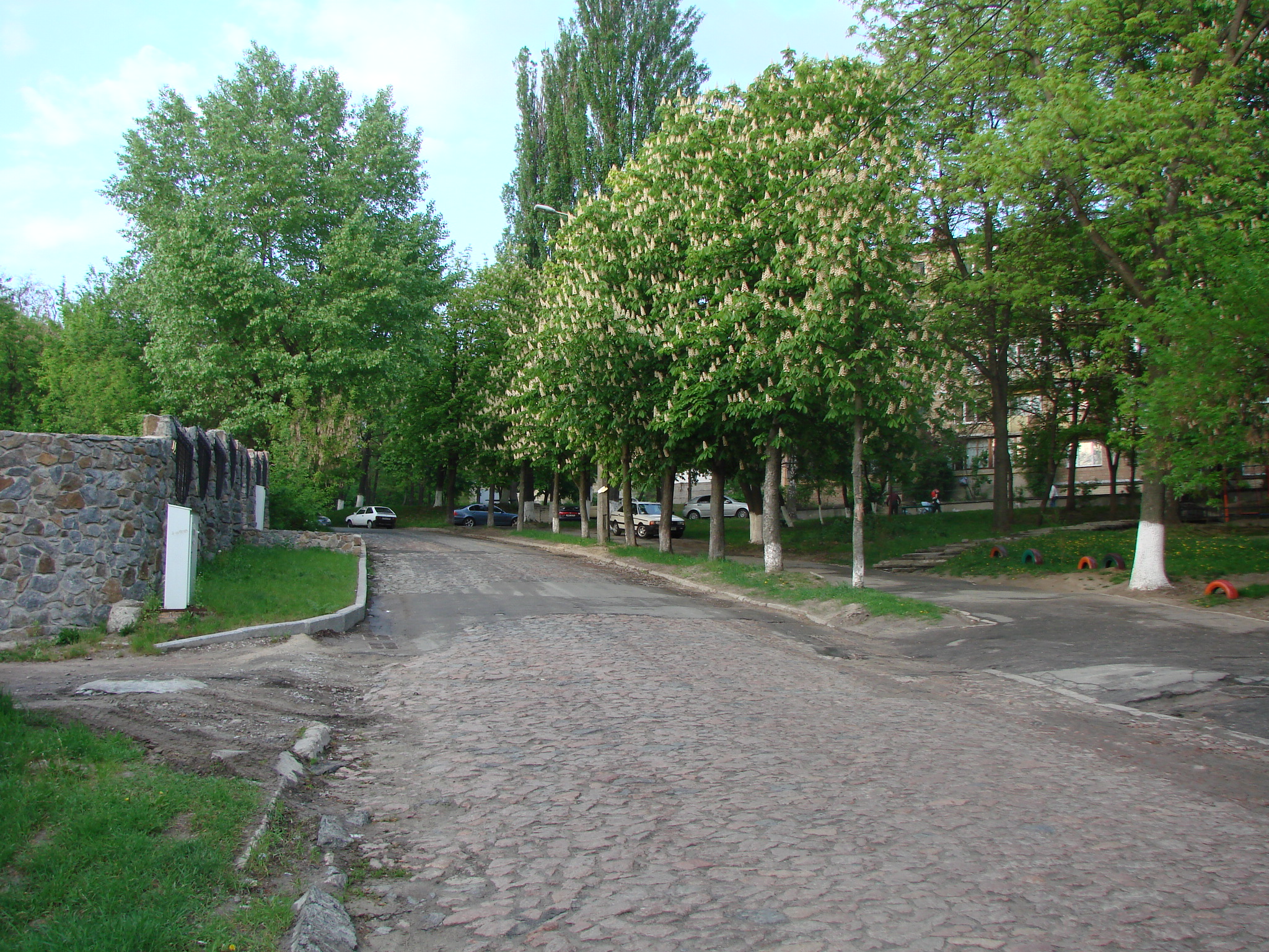 Улица Котовского Фото