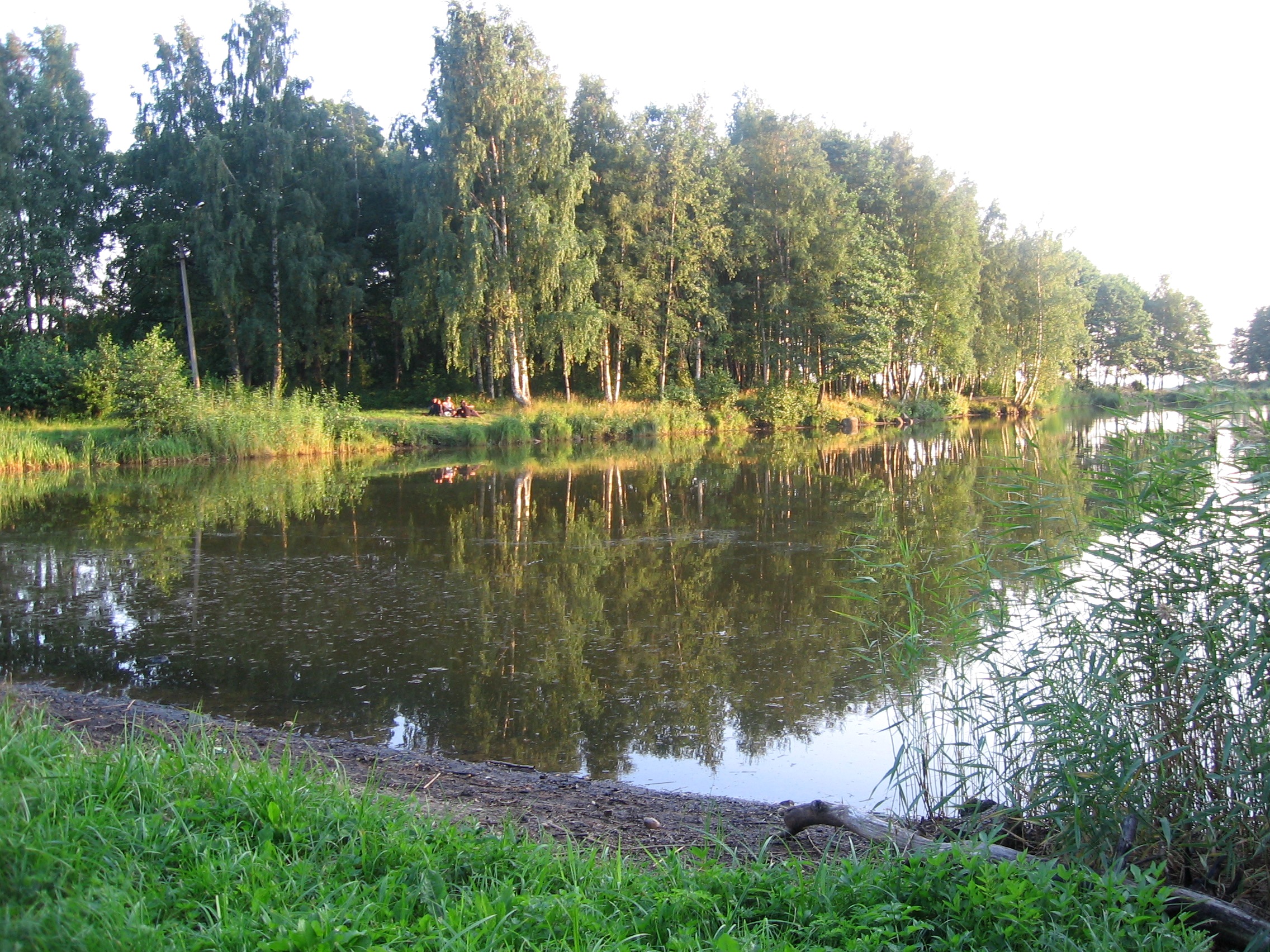 Водоем Дубки Михайловск. Водный парк в Дубках Ярославская область. Верхний водоем Дубки.