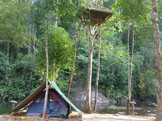 File:Adventure resort of Sinharaja Rainforest Sri Lanka.jpg