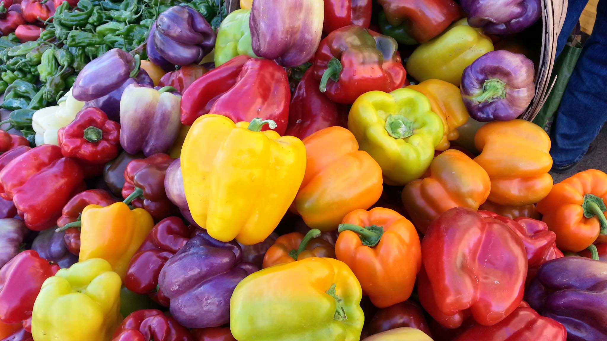 File Bell Peppers Jpg Wikimedia Commons