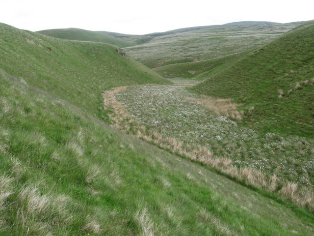 File:Between Sauchanwood Hill and Core Hill - geograph.org.uk - 840737.jpg