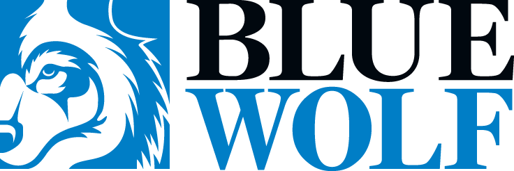 Blue Wolf Capital Partners - Wikipedia