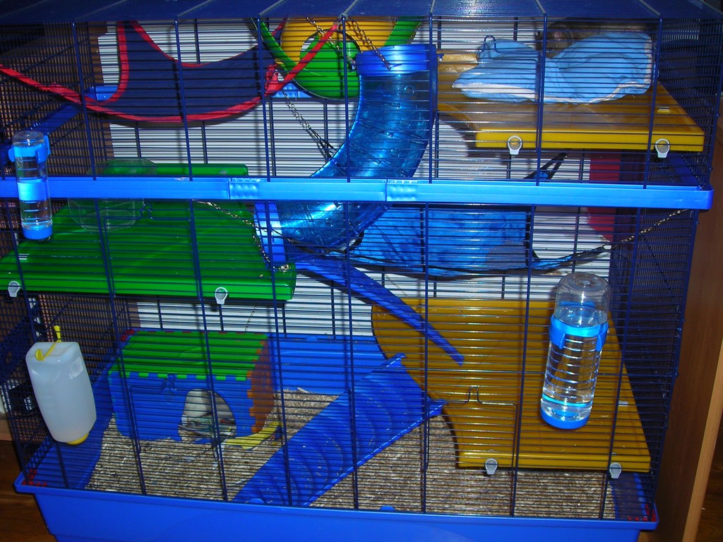 best rat cages