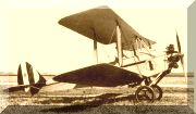 Caproni Ca.100