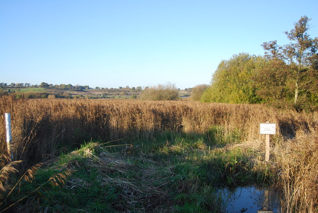 Danger deep water, Westbere Marshes - geograph.org.uk - 2794842