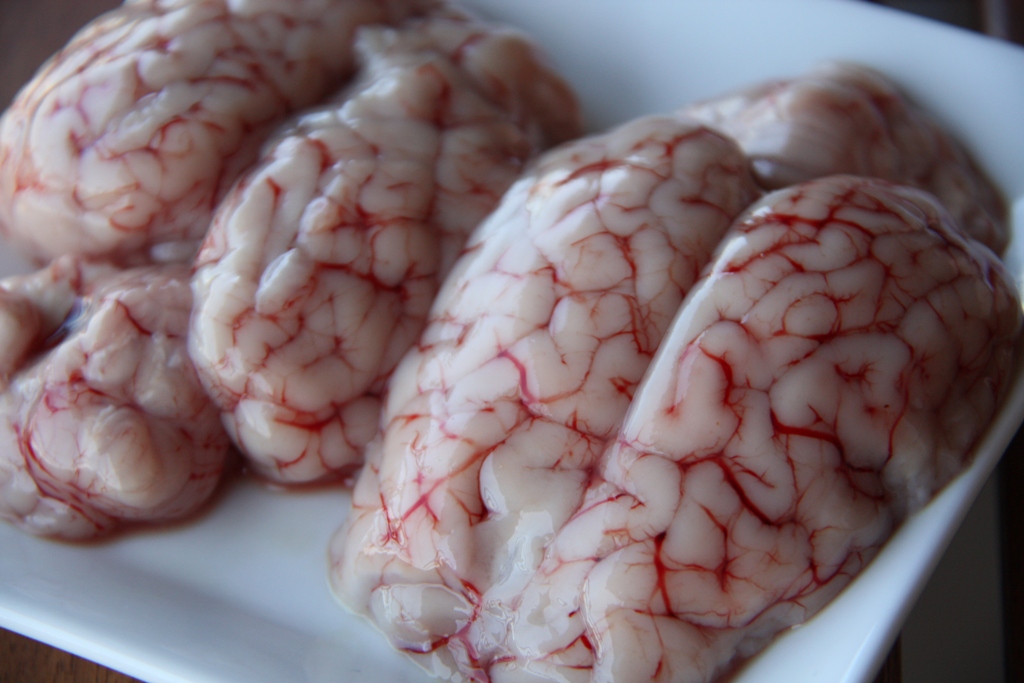 Image result for Is eating goat brain healthy?