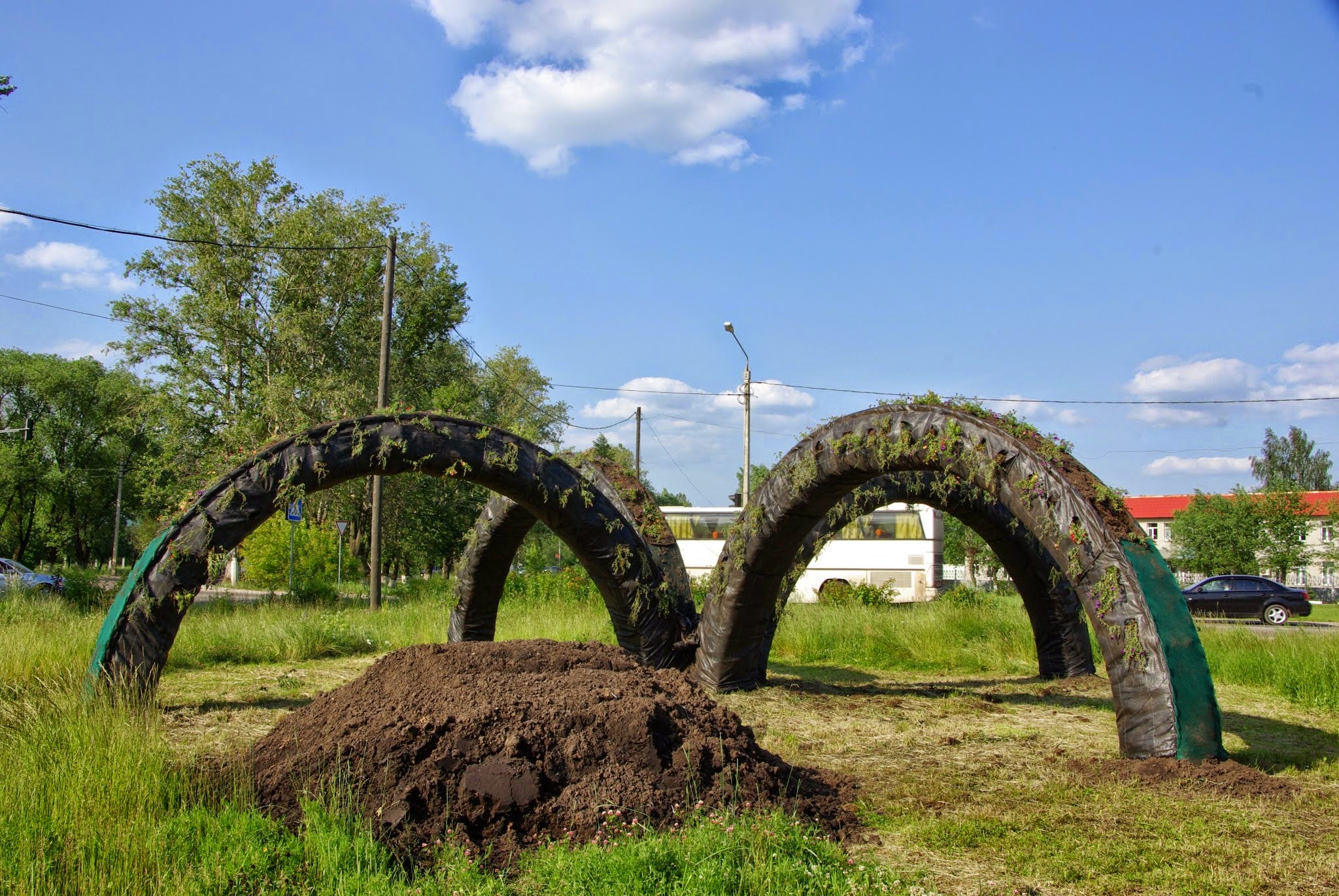 Дмитров гейм. Ytrhfcjdcr Московская область. ЦОФК Московская область.