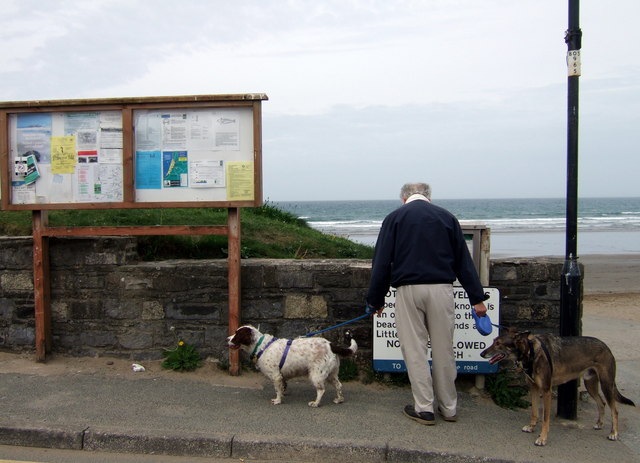 File:Dogs allowed^ - geograph.org.uk - 425259.jpg